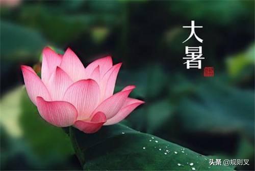大暑节气古诗（大暑节气古诗10首）