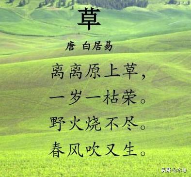 赋得原上草送别白居易（赋得古原草送别白居易这首诗的意思）