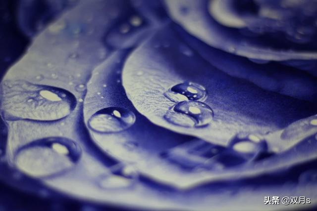 学画画（学画画的好处）